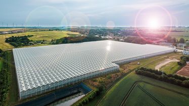 Luftaufnahme einer großen Gewächshausanlage in Schkölen, umgeben von Feldern bei Sonnenaufgang