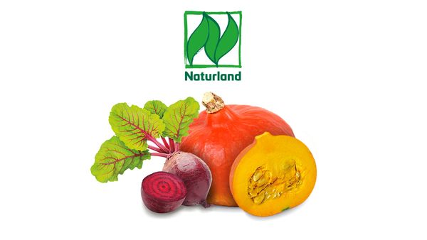 Eine ganze Bio Rote Beete und ein Bio Kürbis mit Naturland Siegel sowie eine geschnittene Hälfte beider Bio Produkte