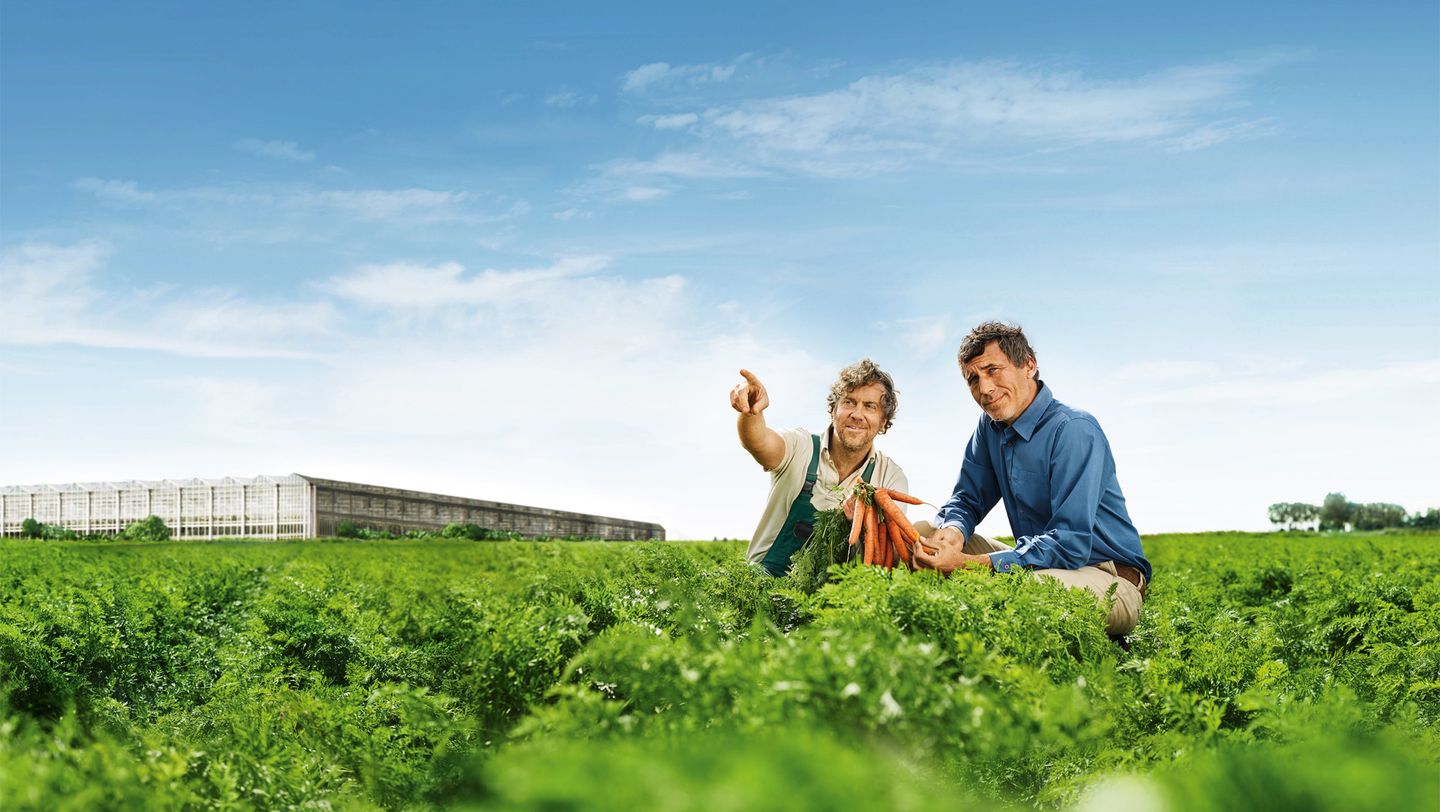 Gemüsering: Von Natur aus Partner