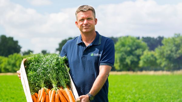 Mann in dunkelblauem Hemd steht in einem grünen Karottenfeld und hält eine Kiste voller frisch geernteter Karotten aus Eigenproduktion.