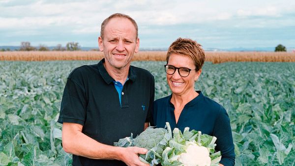 Lächelnder Mann und Frau stehen in einem Kohlfeld und halten frisch geernteten Brokkoli und Blumenkohl aus Eigenproduktion. Im Hintergrund sind weitere Kohlpflanzen und ein Maisfeld zu sehen.