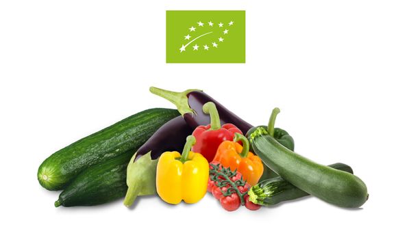 Vielfalt an Bio Gemüse, darunter Bio Gurken, Bio Auberginen, Bio Paprika und Bio Tomaten mit EU Bio Siegel