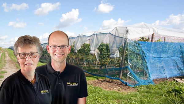 Ein Mann und eine Frau in schwarzen "BAUERLE"-T-Shirts stehen vor einer netzbedeckten landwirtschaftlichen Plantage, unter blauem Himmel mit weißen Wolken.