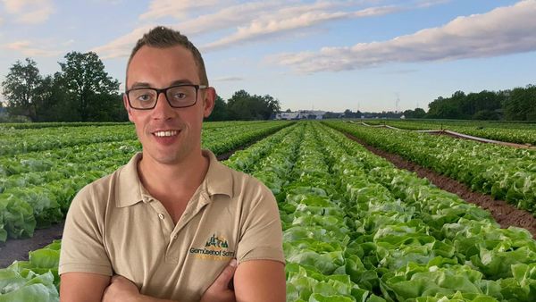 Mann in beigem Shirt mit "Gemüsehof Sam" steht lächelnd vor einem weiten Feld mit grünen Salatpflanzen aus Eigenproduktion unter bewölktem Himmel.