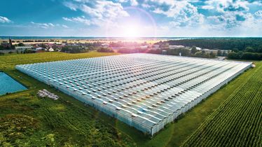 Großes Gewächshaus auf einem weiten Feld, unter blauem Himmel und Sonnenschein, zeigt die Eigenproduktion bei Gemüsering