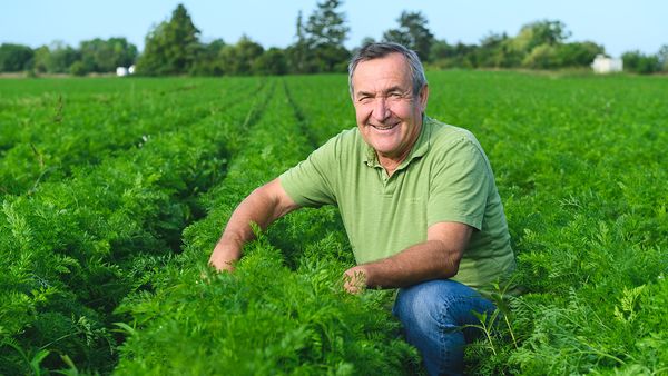 Lächelnder Mann in grünem Shirt hockt in einem grünen Karottenfeld aus Eigenproduktion unter klarem Himmel, umgeben von üppiger Vegetation.