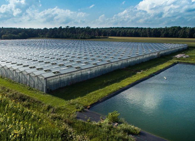 Großes Gewächshaus zu Ressourcenschonung neben einem Teich, umgeben von Wiesen und Wäldern, bei bewölktem Himmel