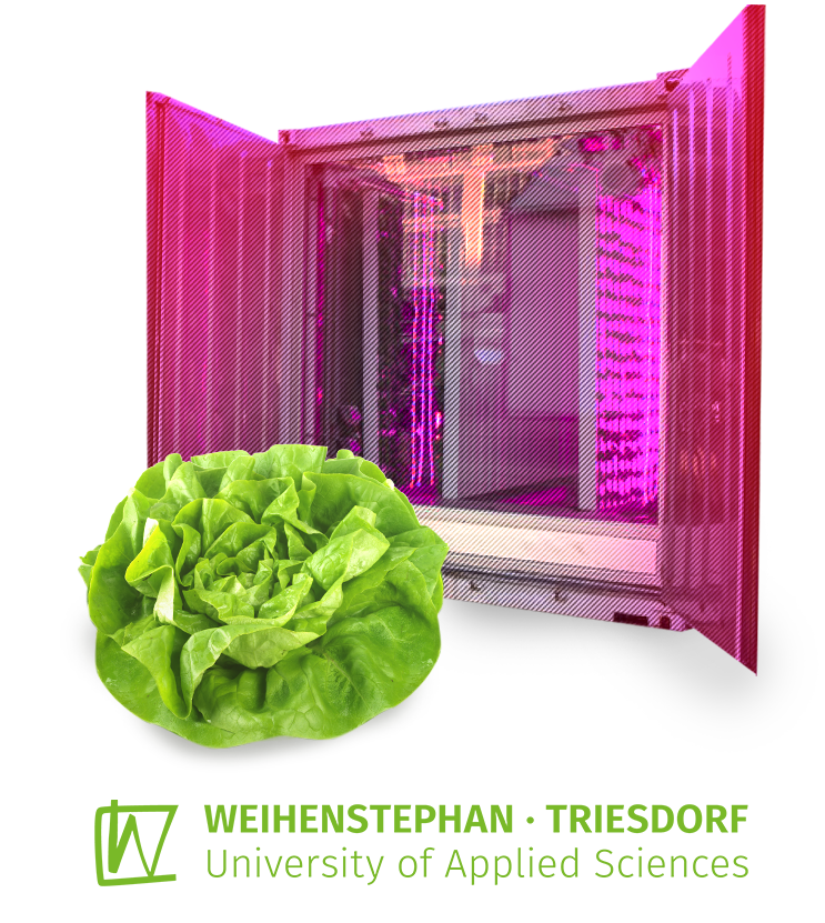 Vertical Farming Container mit pinker Beleuchtung, davor ein frischer Kopfsalat, Logo der Hochschule Weihenstephan-Triesdorf.